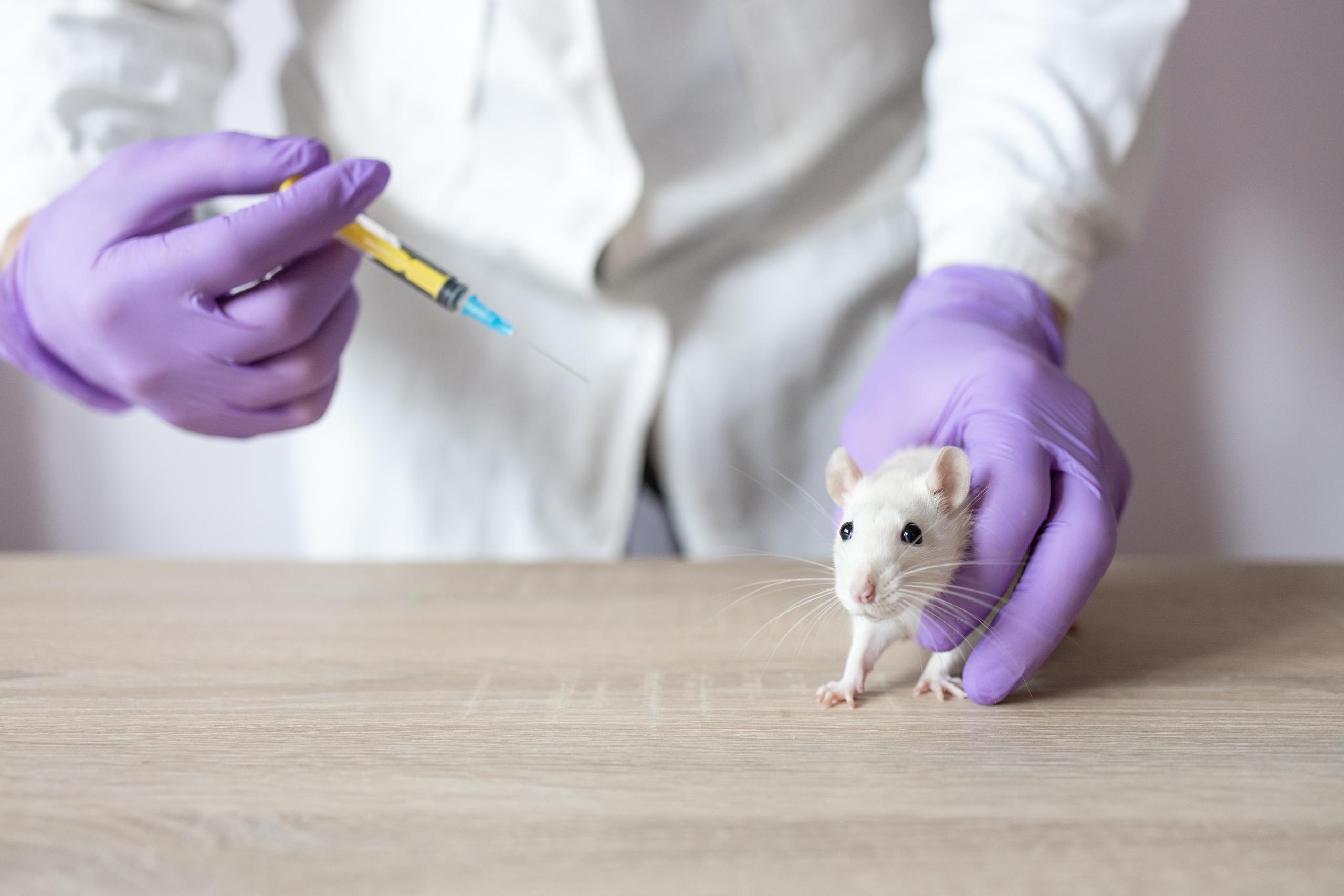 Preclinical Project Monitoring